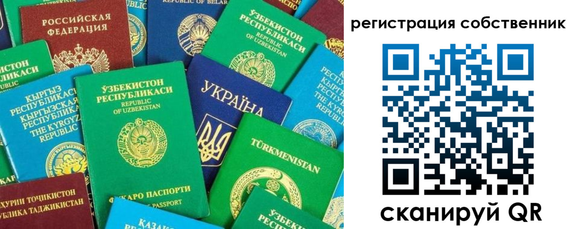 прописка в Элисте